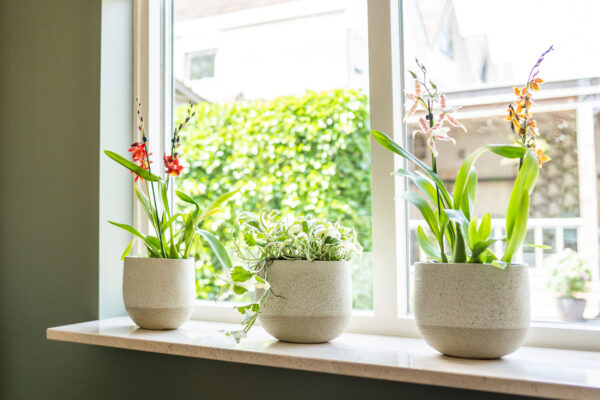 Lillepott Iris 29x14xh24cm beez