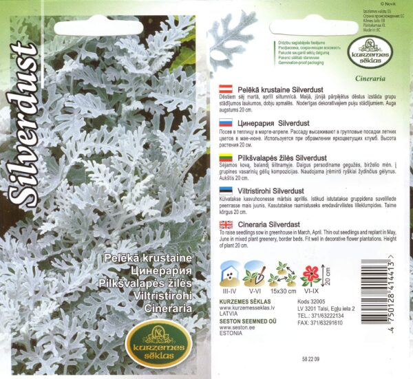 Vilt-ristirohi 'Silverdust''