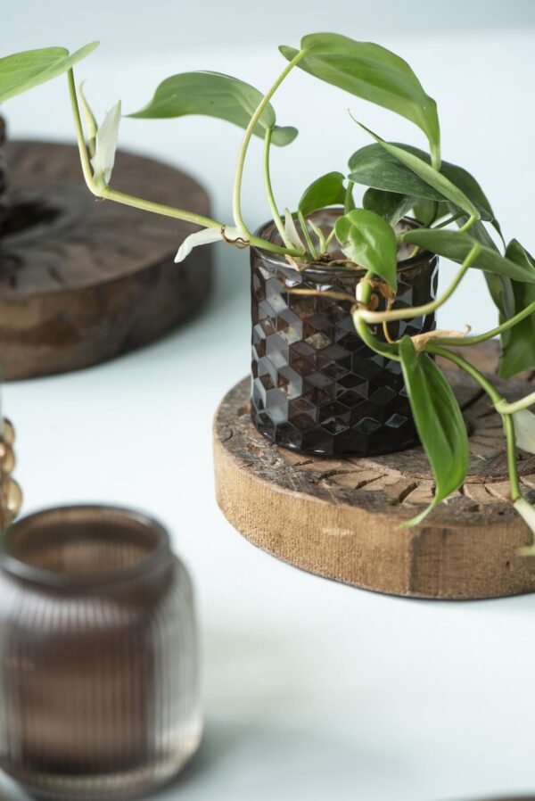 Küünlahoidja h7.5cm, d7cm tumepruun