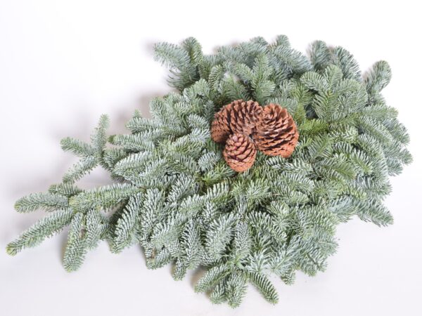 Naturaalne nulu rosett 50cm