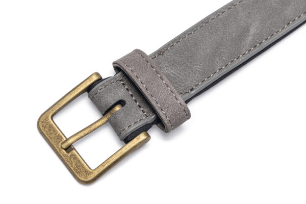 Kaelarihm Beeztees koerale AX 52-62x3cm hall