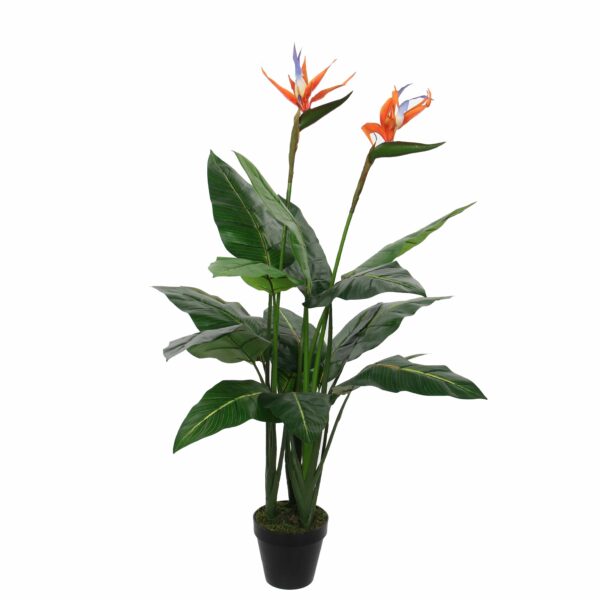 Kunstlill Strelitzia h110xd60cm roheline