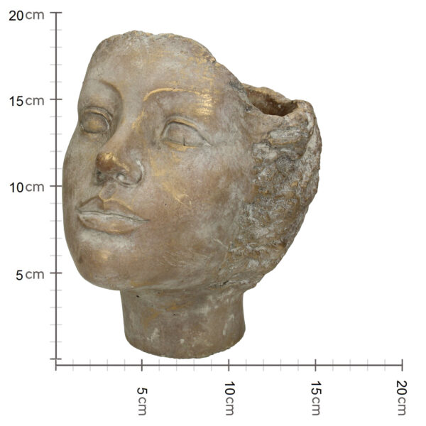 Lillepott nägu 19x15x19cm kuldne