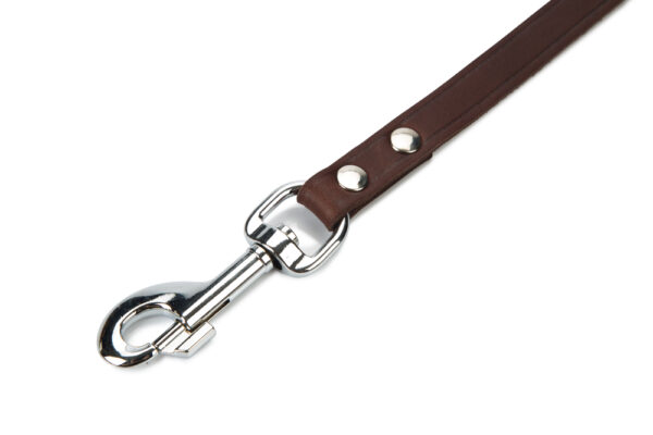 Jalutusrihm BZ nahast 165cm x 16mm pruun