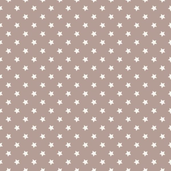 Salvrätik beež tähtedega 40x40cm 50tk/pk