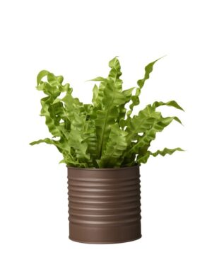 Tsinkpott Amira 13x13cm pruun