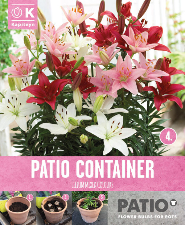 Liilia' Sorbet Shades' (sobib konteinerisse)