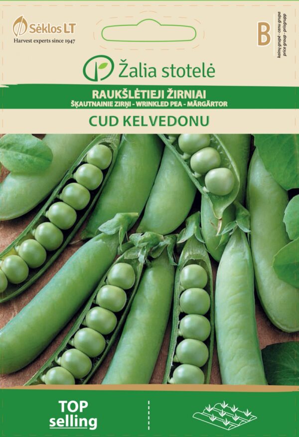 Hernes 'Kelvedon Wonder' B