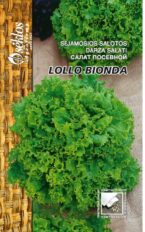 Lehtsalat ‘Lollo Bionda’