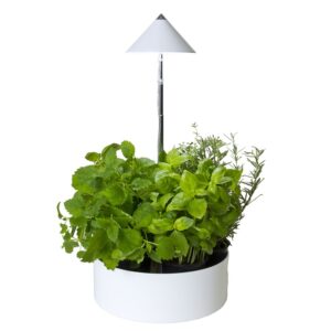 Taimelamp miniHerb S 10W 120° Ø23cm valge