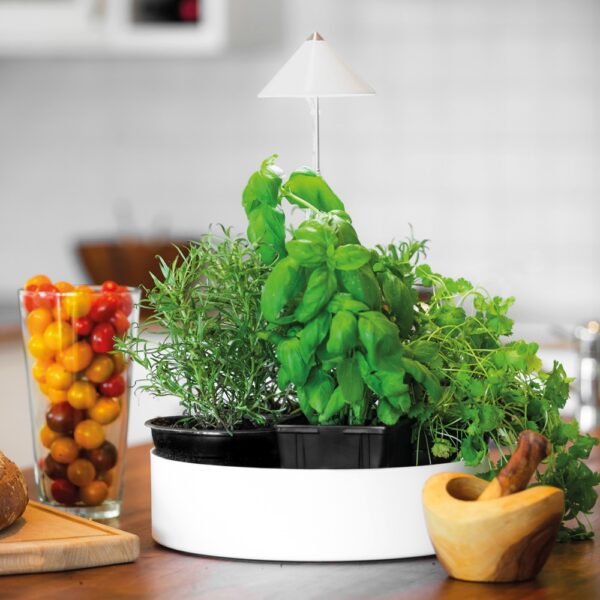 Taimelamp miniHerb L 10W 120° Ø31cm valge