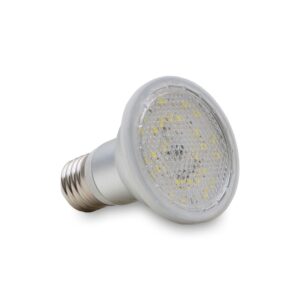 Taimelambi pirn Winter LED E27 7W, 120°