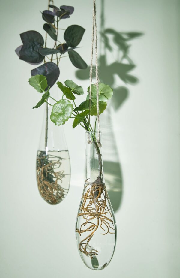 Vaas Manuela klaasist riputatav d9x h30cm