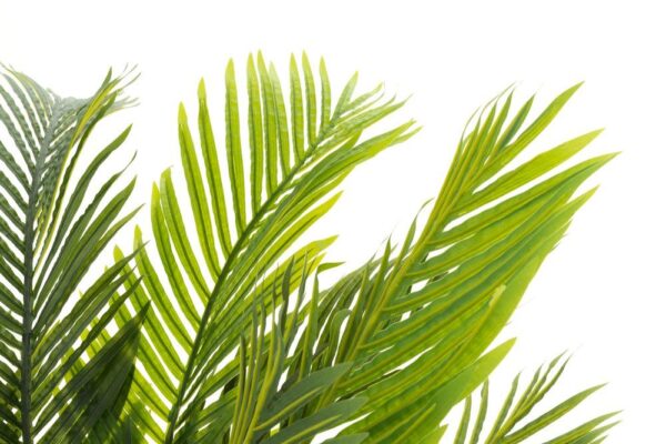 Kunstpalm 140cm potis