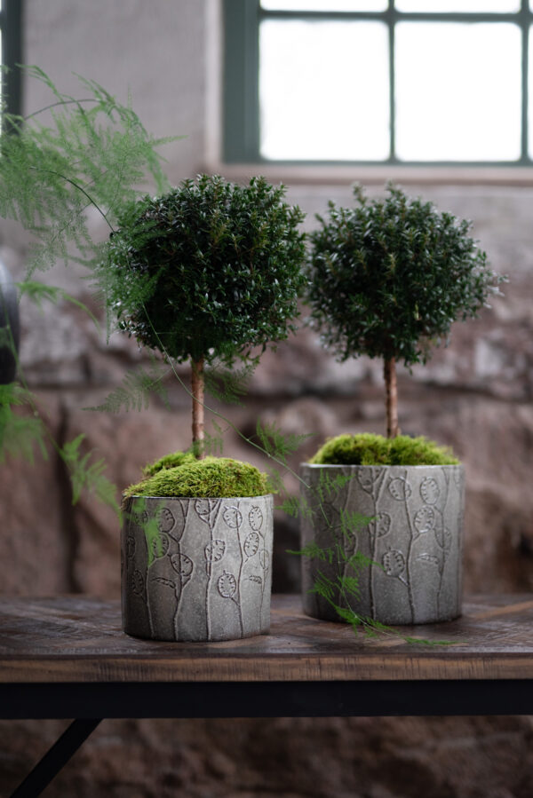 Lillepott Saga Ø18x h20cm hall