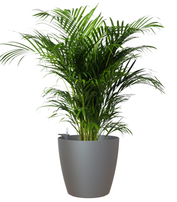 Lillepott altkastmissüsteemiga San Remo Ø42cm matt antratsiit