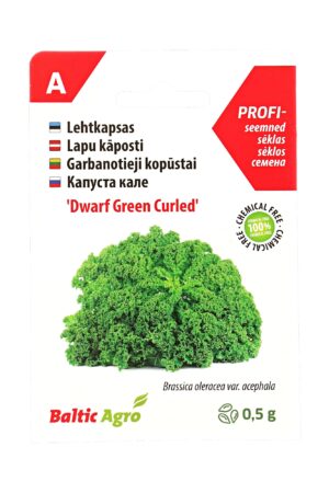 Lehtkapsas ‘Dwarf Green Curled’ 0,5g