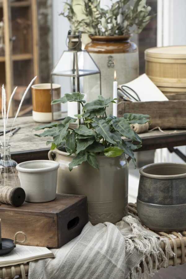 Pleed 130x 160cm beež