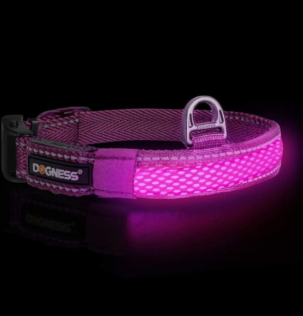 LED kaelarihm Dogness M lilla