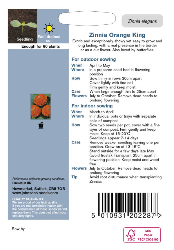 Pruudisõlg 'Orange King' 100s