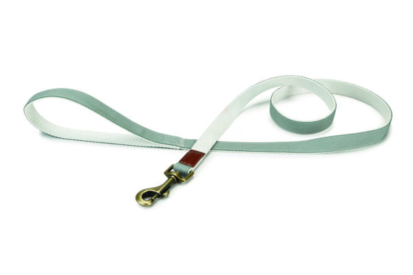 Beeztees rihm koerale 120cm x20mm münt virante