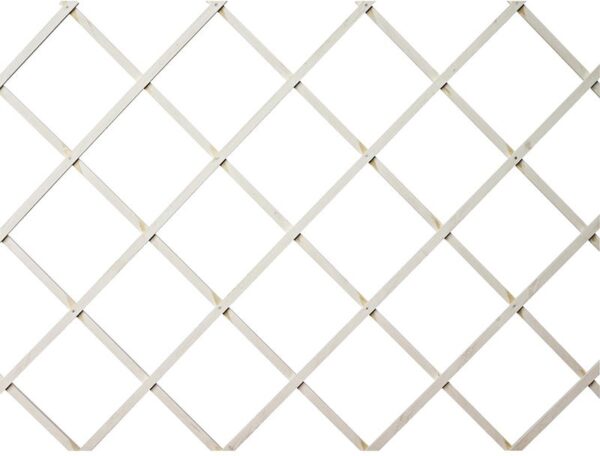 Taimevõre puidust valge 100x200cm