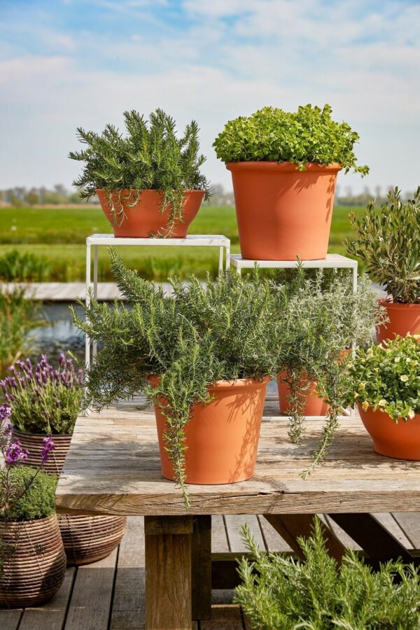 Savipott Lua h12,5x d27cm terrakota