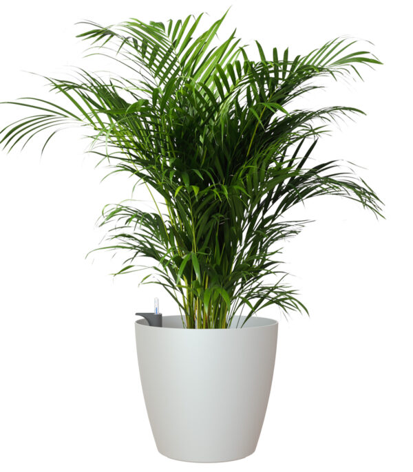 Lillepott altkastmissüsteemiga San Remo Ø36cm matt valge