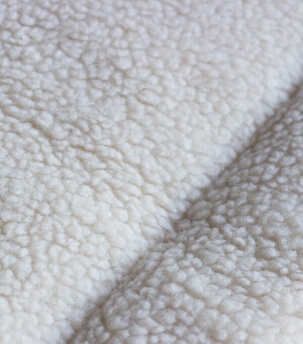 Koeraase/ padi Canvas HH 61x 41cm pruun