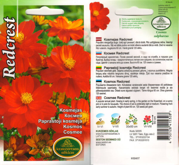 Väävelkollane kosmos 'Redcrest'