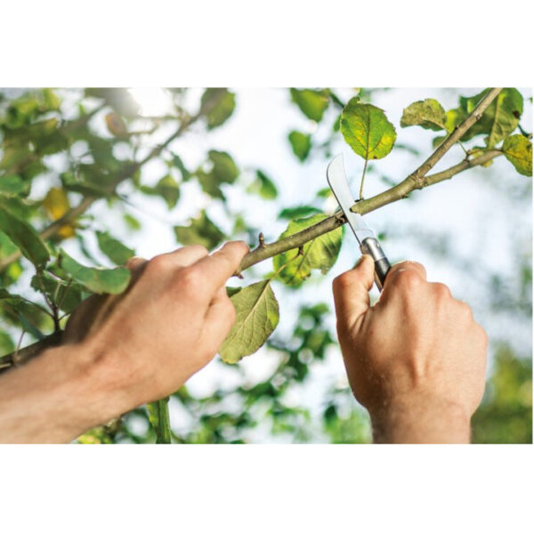 Pookimisnuga Cellfast