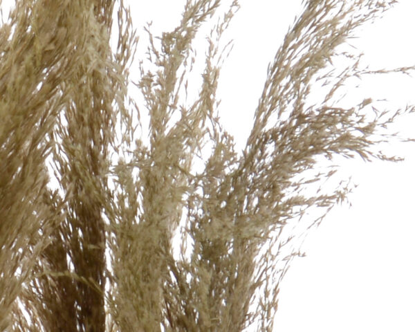 Kunsttaim kõrreline 30x30x85cm roheline