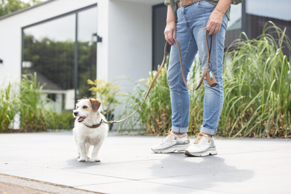 Jalutusrihm Balacron AX 180x2cm pruun