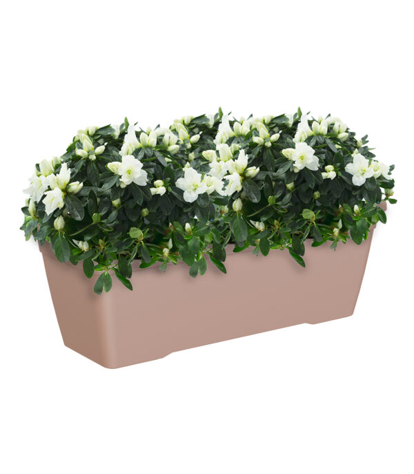 Rõdukast Venezia L 80cm taupe