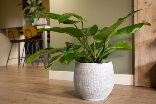 Lillepott Ryan Ø31x h28cm valge/must