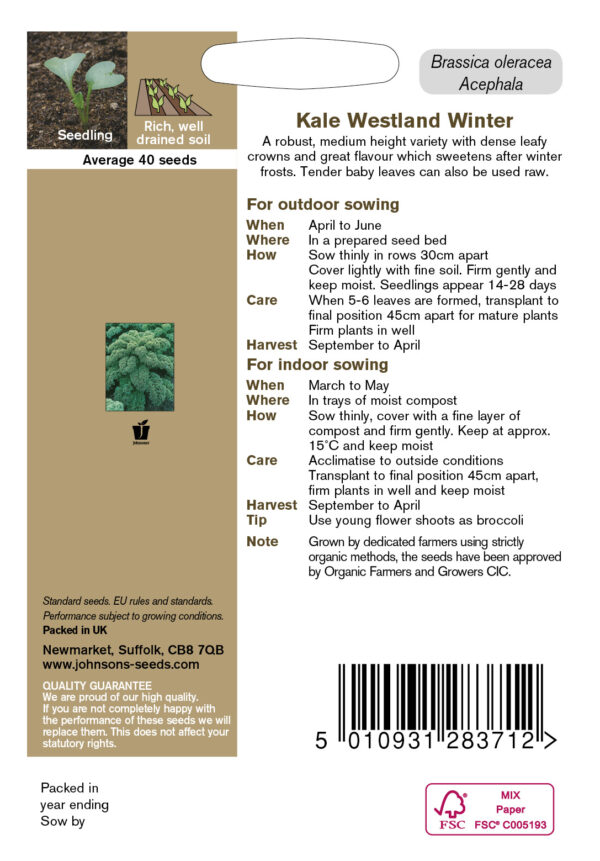 Lehtkapsas 'Westland Winter' 40s MAHE