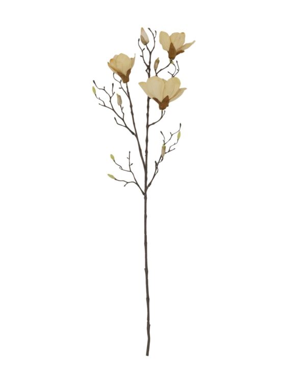 Kunstlill Magnoolia 85cm beež