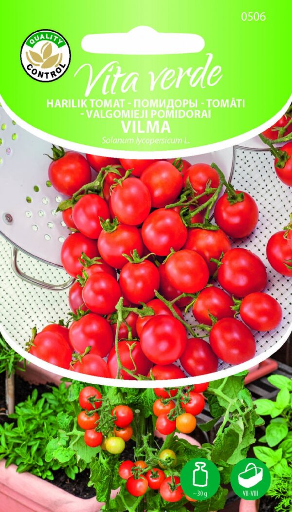 Potitomat 'Vilma' 0,1g