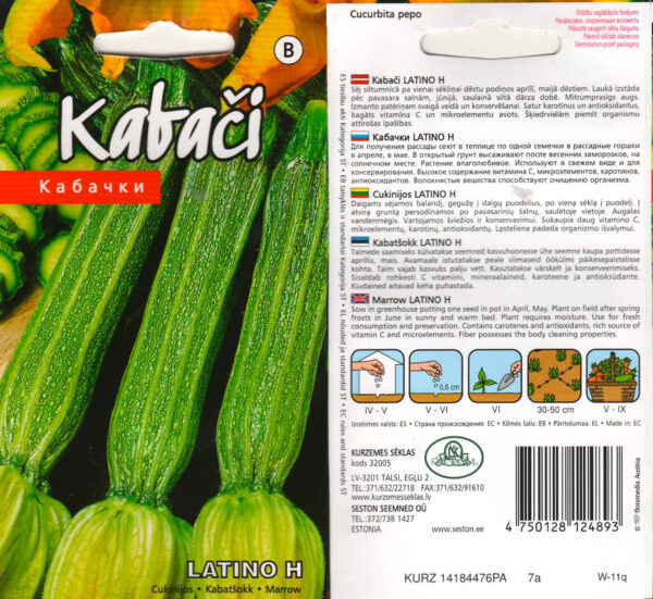 Suvikõrvits 'Latino'