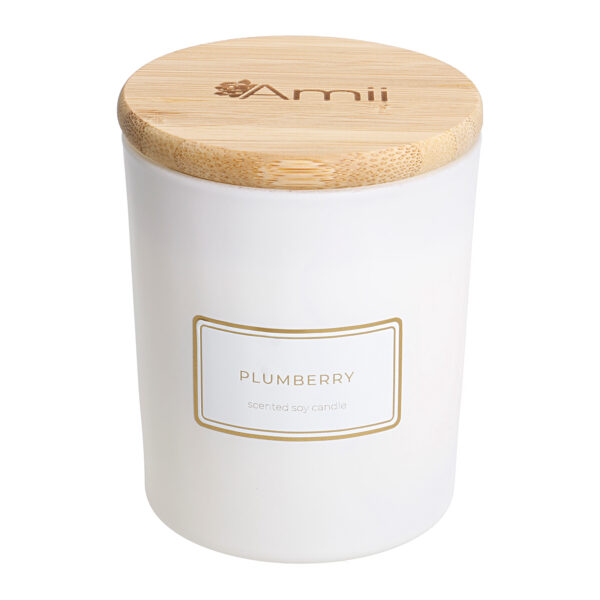 Lõhnaküünal Amii Plumberry