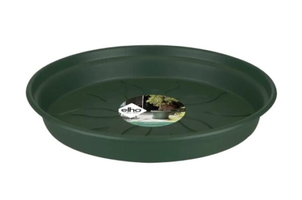 Istutuspoti alus Green Basics 14cm leheroheline