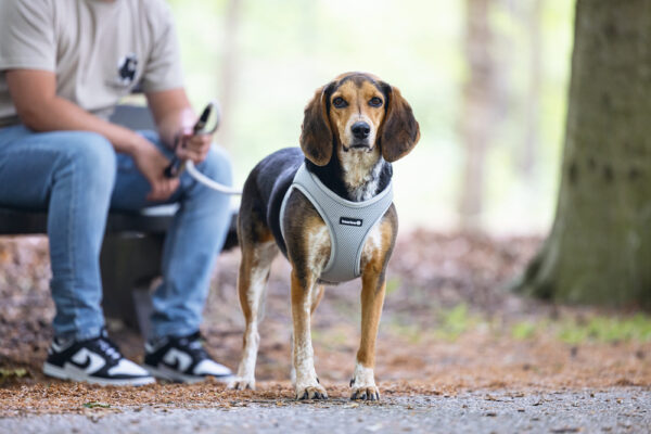 Traksid Parinca premium 44-55cm hall