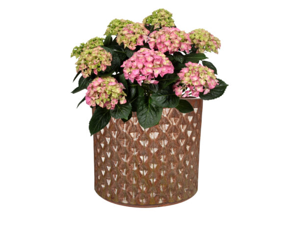 Õuepott Dion d19xh16cm pronks