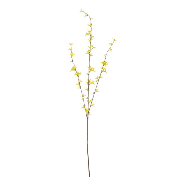 Kustlill forsüütia 97cm kollane