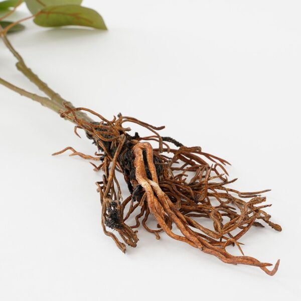 Kunsttaim eukalüpt juurtega 64x28x h12cm roheline