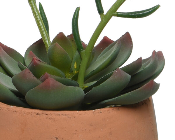 Kunsttaim sukulent õiega 14x14x28cm potis, erinevad