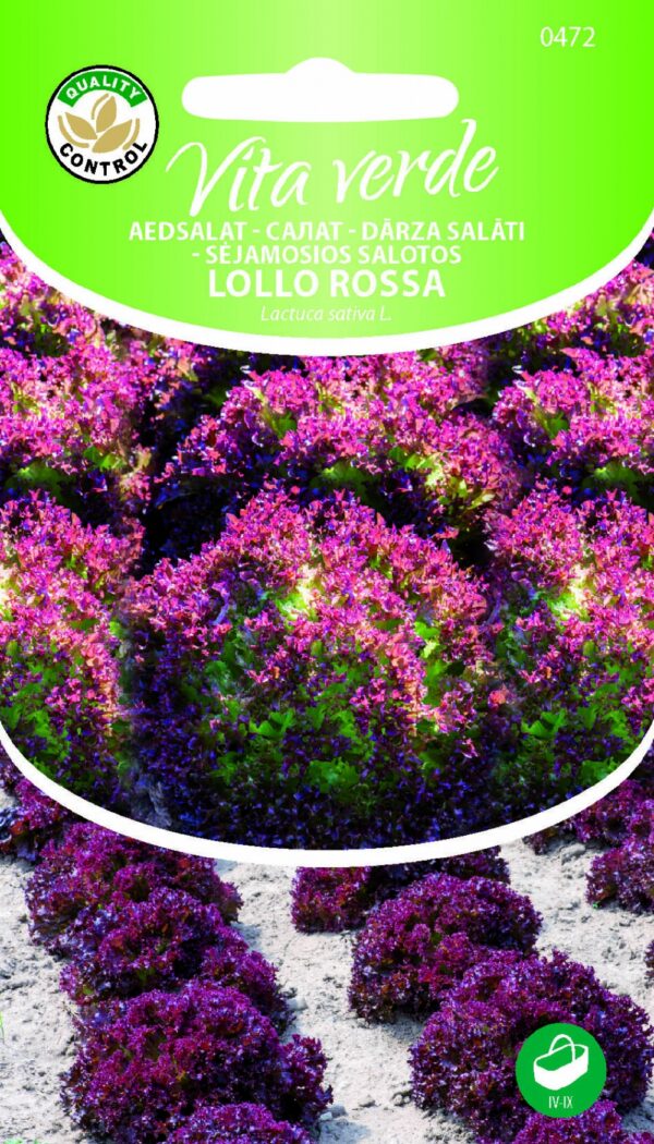Lehtsalat 'Lollo Rossa'