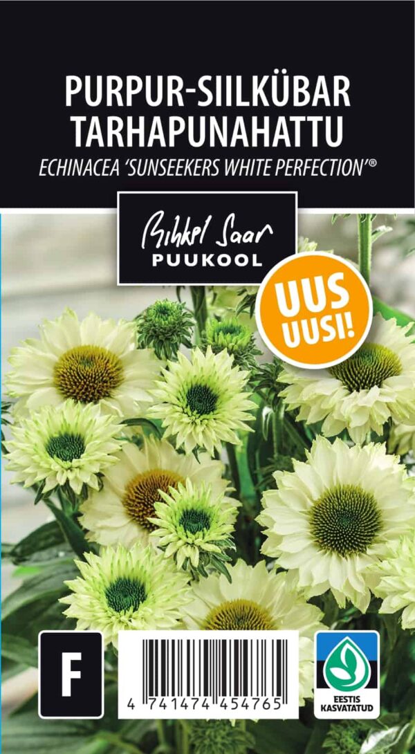 Punane siilkübar 'Sunseekers White Perfection' P19 Eestis kasvatatud