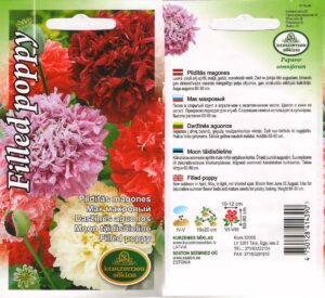 Unimagun täidisõieline