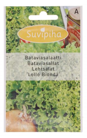 Lehtsalat ‘Lollo Bionda’ 960s